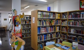 La Biblioteca municipal Francisco Sota ...