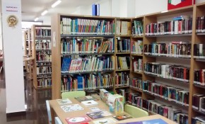 La Biblioteca Municipal Francisco Sota ...