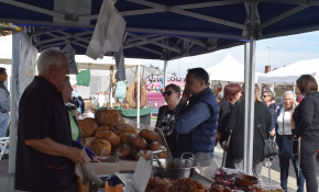 Productores y artesanos participan este ...