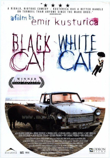 La  película “Gato negro, gato ...