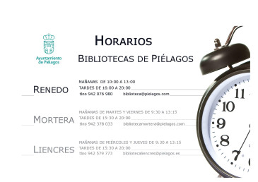 Las bibliotecas municipales de ...